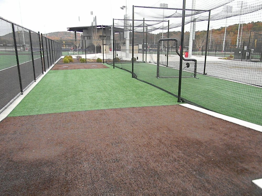 Edmonton artificial turf batting cage